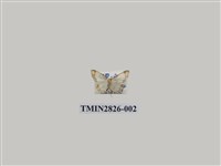 藏品(尺蛾499)的圖片